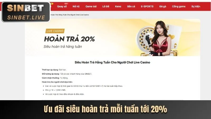 Cấp độ VIP Vàng của trangbet88